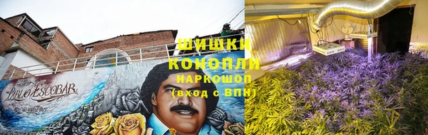 тгк Липки