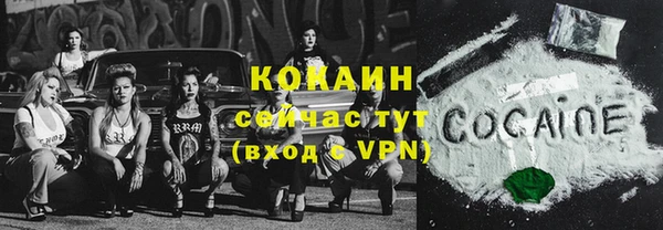 гидра Лагань