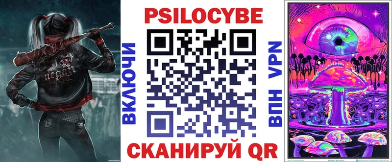Псилоцибиновые грибы Cubensis Макарьев