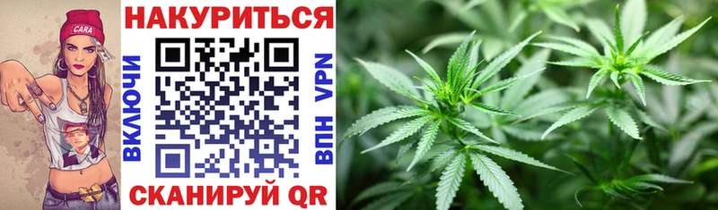 Бошки Шишки White Widow  Макарьев 